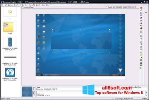 Captura de pantalla ScreenShot para Windows 8