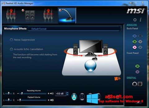 Captura de pantalla Realtek Audio Driver para Windows 8