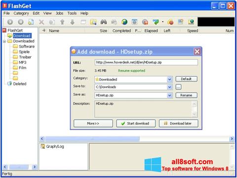 Captura de pantalla FlashGet para Windows 8
