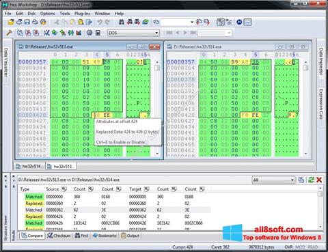 Captura de pantalla Hex Workshop para Windows 8