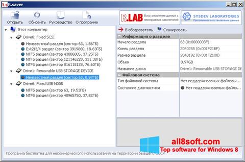 Captura de pantalla R.saver para Windows 8