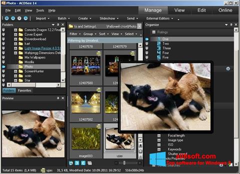 Captura de pantalla ACDSee Photo Manager para Windows 8