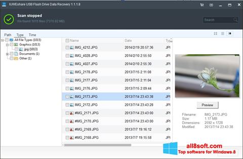 Captura de pantalla USB Flash Drive Recovery para Windows 8