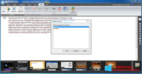 Captura de pantalla Snagit para Windows 8