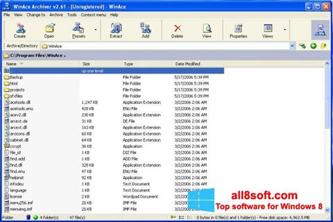 Captura de pantalla WinAce para Windows 8