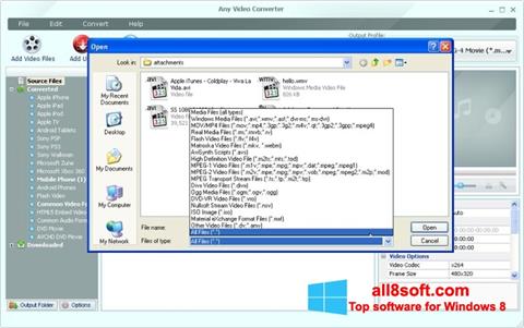 Captura de pantalla Any Video Converter para Windows 8