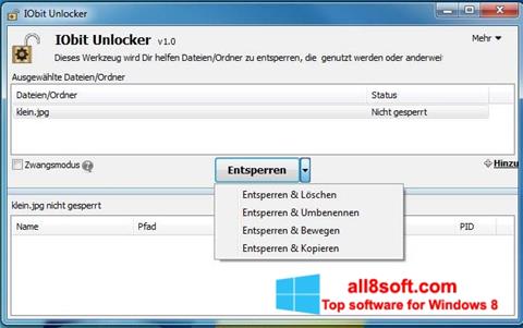 Captura de pantalla IObit Unlocker para Windows 8