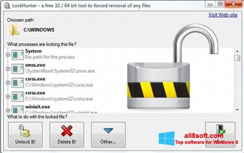 Captura de pantalla LockHunter para Windows 8