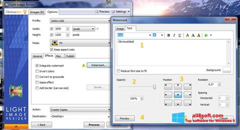 Captura de pantalla Light Image Resizer para Windows 8