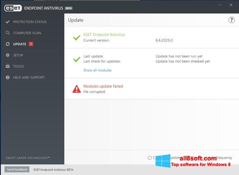 Captura de pantalla ESET Endpoint Antivirus para Windows 8
