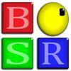 BSR Screen Recorder para Windows 8