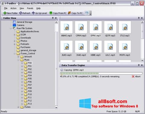 Captura de pantalla iFunBox para Windows 8