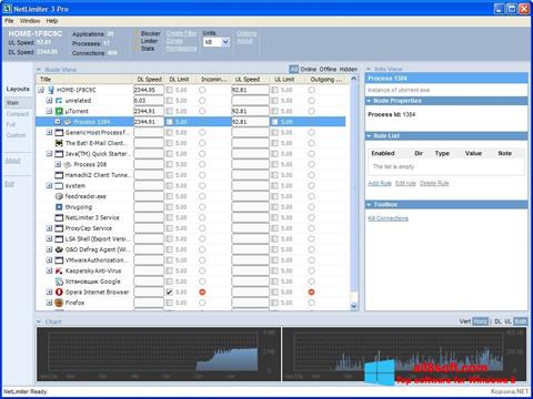 Captura de pantalla NetLimiter para Windows 8