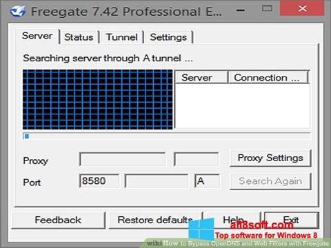 Captura de pantalla Freegate para Windows 8