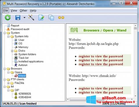 Captura de pantalla Multi Password Recovery para Windows 8