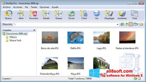 Captura de pantalla WinZip para Windows 8