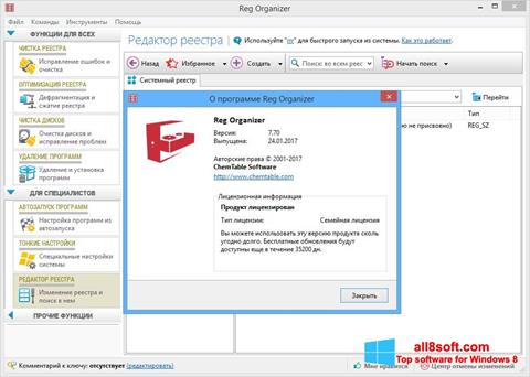 Captura de pantalla Reg Organizer para Windows 8