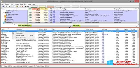 Captura de pantalla Process Explorer para Windows 8
