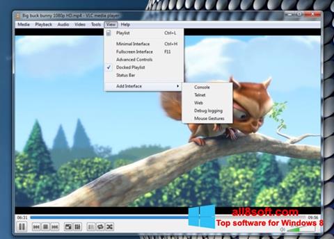 Captura de pantalla VLC Media Player para Windows 8